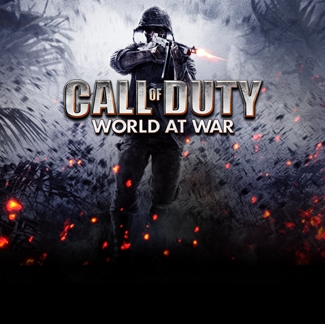 Call Of Duty World At War 